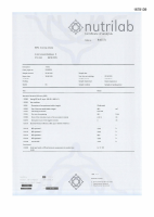 Pagina 31