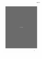 Pagina 42