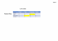 Pagina 11